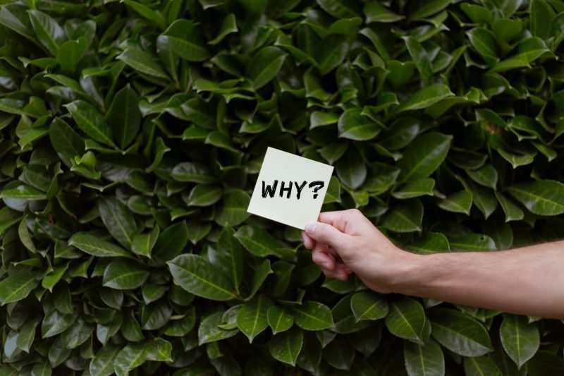 Why the Same Service Costs Wildly Different Prices