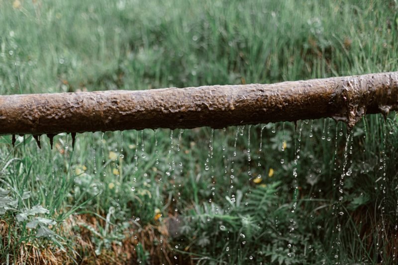 Signs of a Hidden Water Leak and What It Costs to Fix